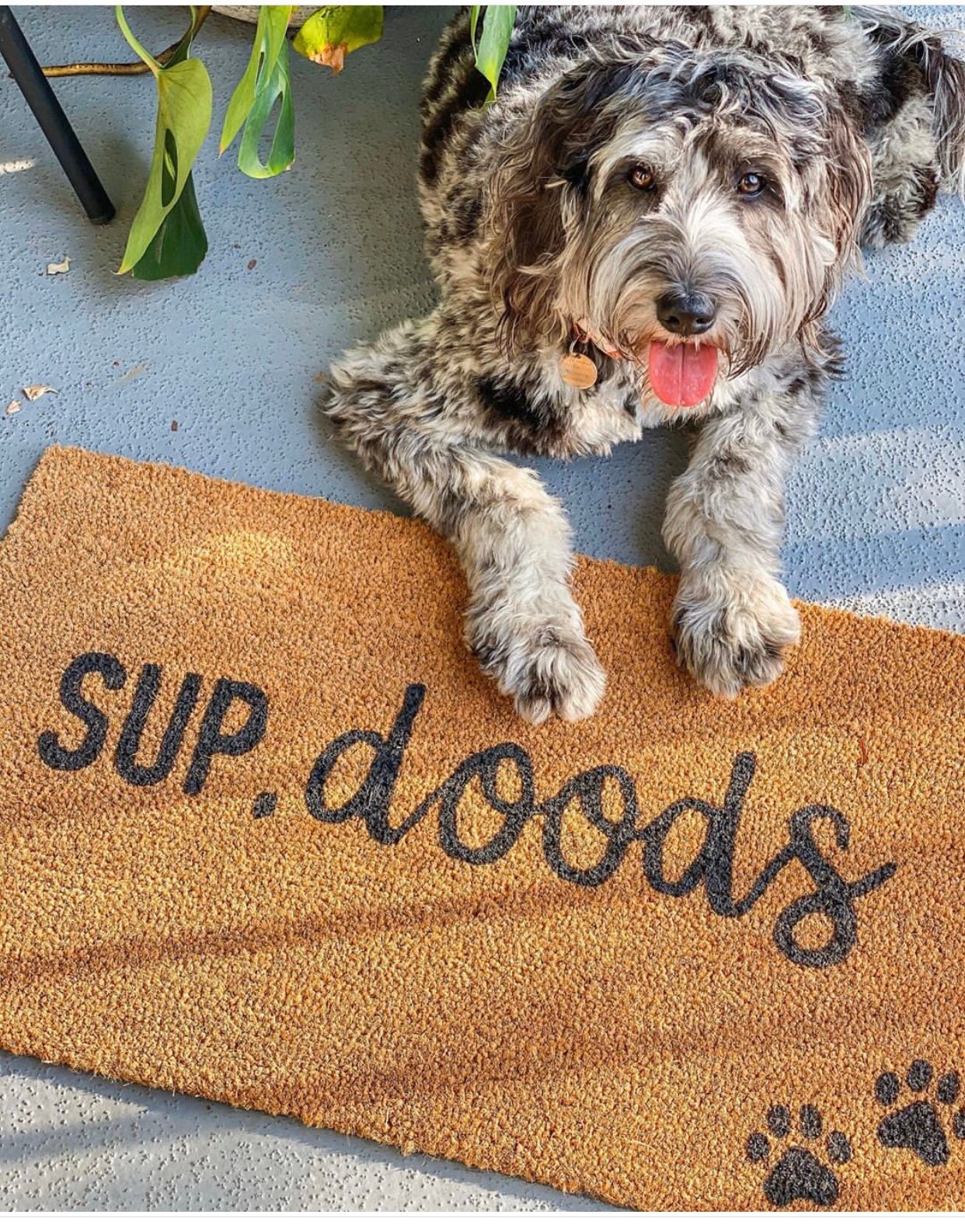 Sup doods, funny doormat, pet doormat, customizable pet doormat