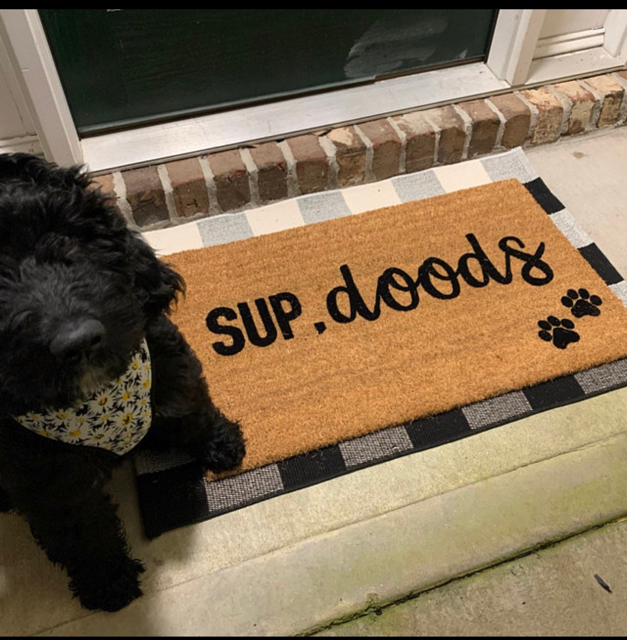 Sup doods, funny doormat, pet doormat, customizable pet doormat