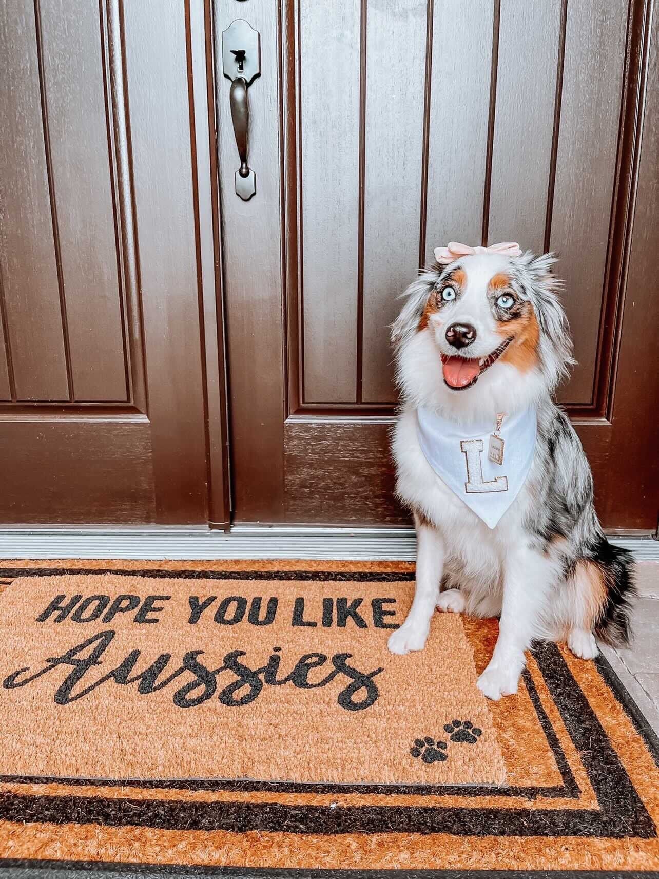Hope you like Aussies doormat, dog doormat, cute doormat