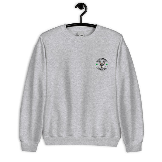 Personalized Pet One Lucky Dog Dad Sweatshirt With Pet Photo, Custom Sweatshirt, Dog lover shirt, St Patricks Day, Dog Lover Gift