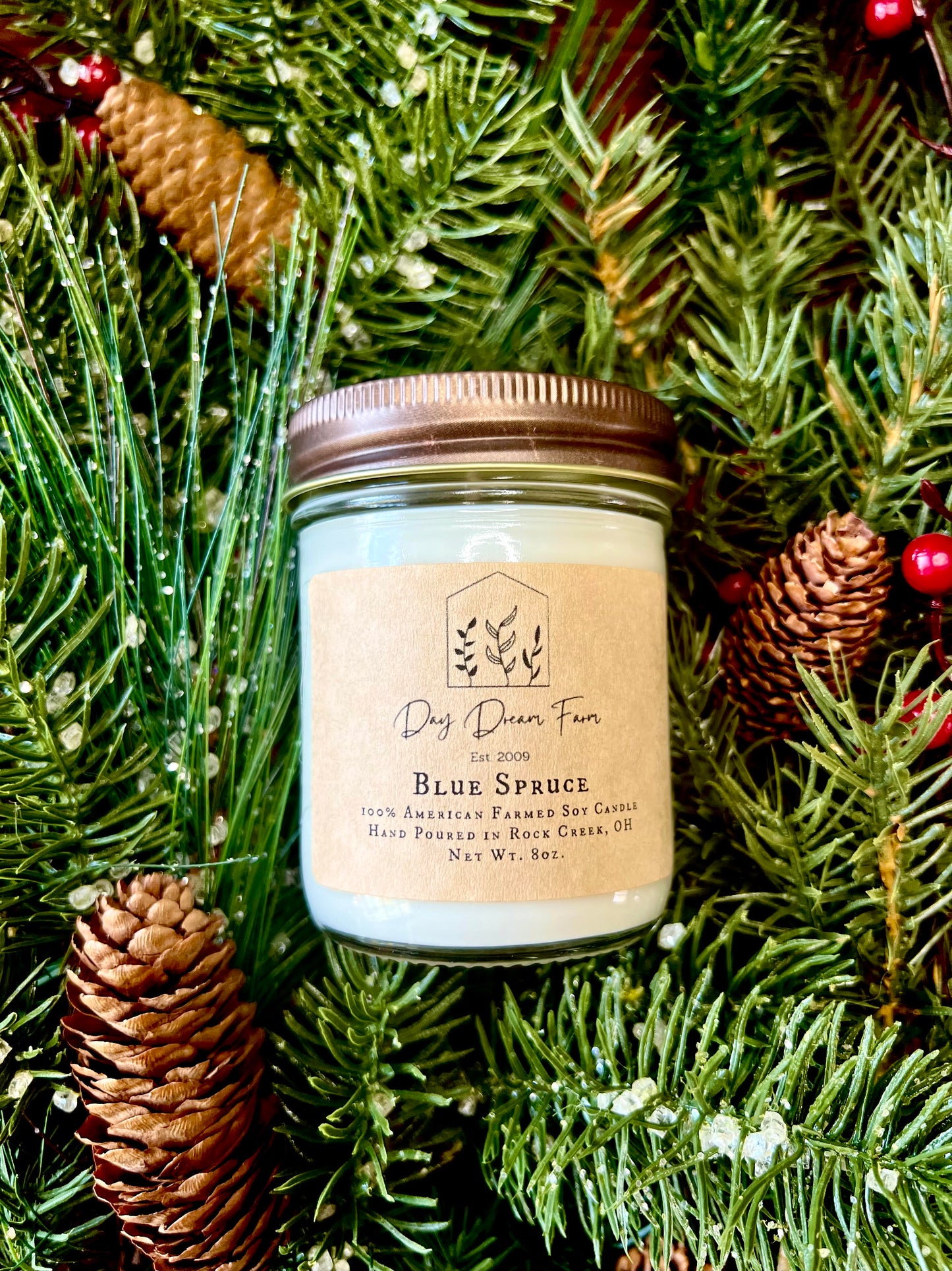 Blue Spruce