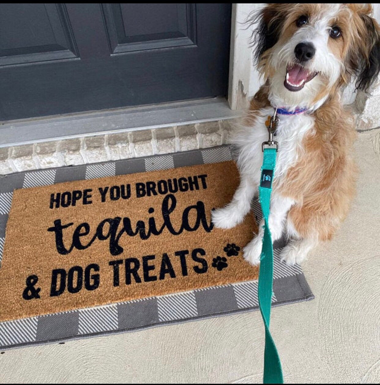 Hope you brought tequila and dog treats doormat, funny doormat, pet doormat, dog doormat, housewarming gift