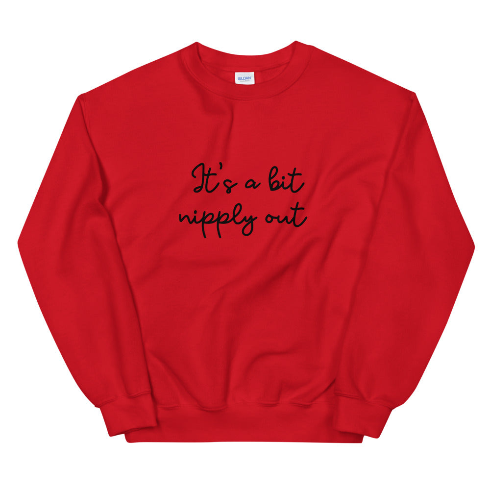 Its a bit nipply out Unisex Sweatshirt, christmas shirt, punny shirt, holiday shirt, christmas vacation, christmas movies