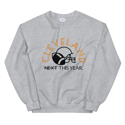 Cleveland browns Unisex Sweatshirt, playoffs sweatshirt, dawg pound, Cleveland, the land
