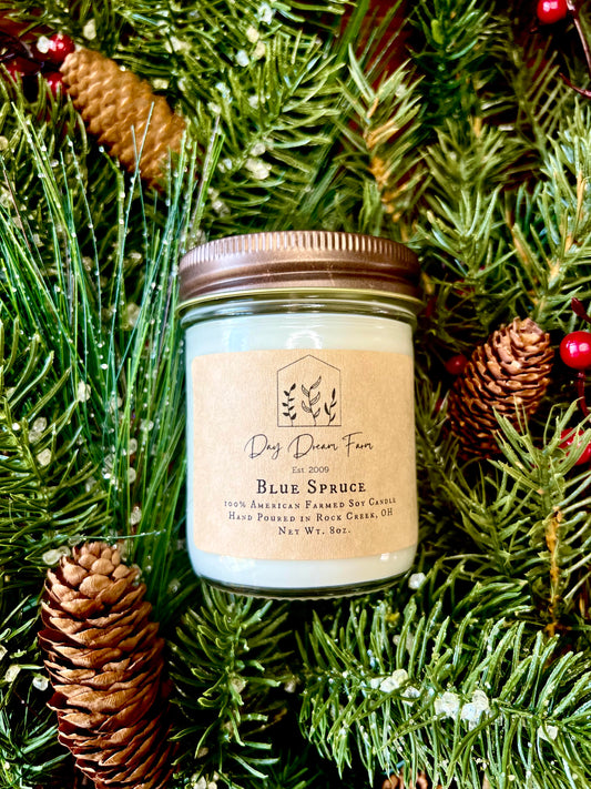 Blue Spruce