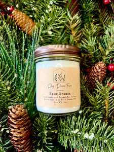 Blue Spruce